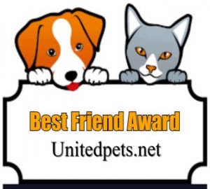 a best friend award 